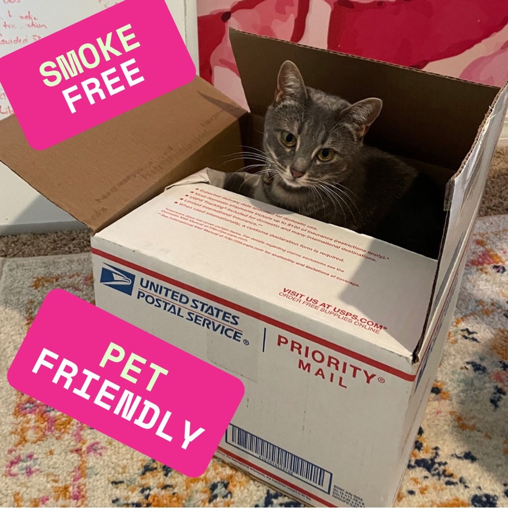 PET FRIENDLY CLOSET - No smoke or perfume, but there may be a stray cat hair.
